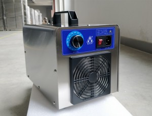 China New Product China 20g/H Ozone Generator with Oxygen Intake for Aquaculture Water Treatment