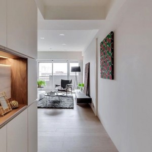 What is the difference between an ozone disinfector and an air purifier?