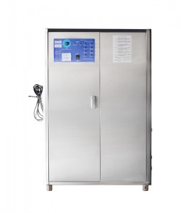 Quality Inspection for BNP China SOZ-YW-40G industrial ozone generator O3 for Killing pathogenic bacteria and plankton in the water