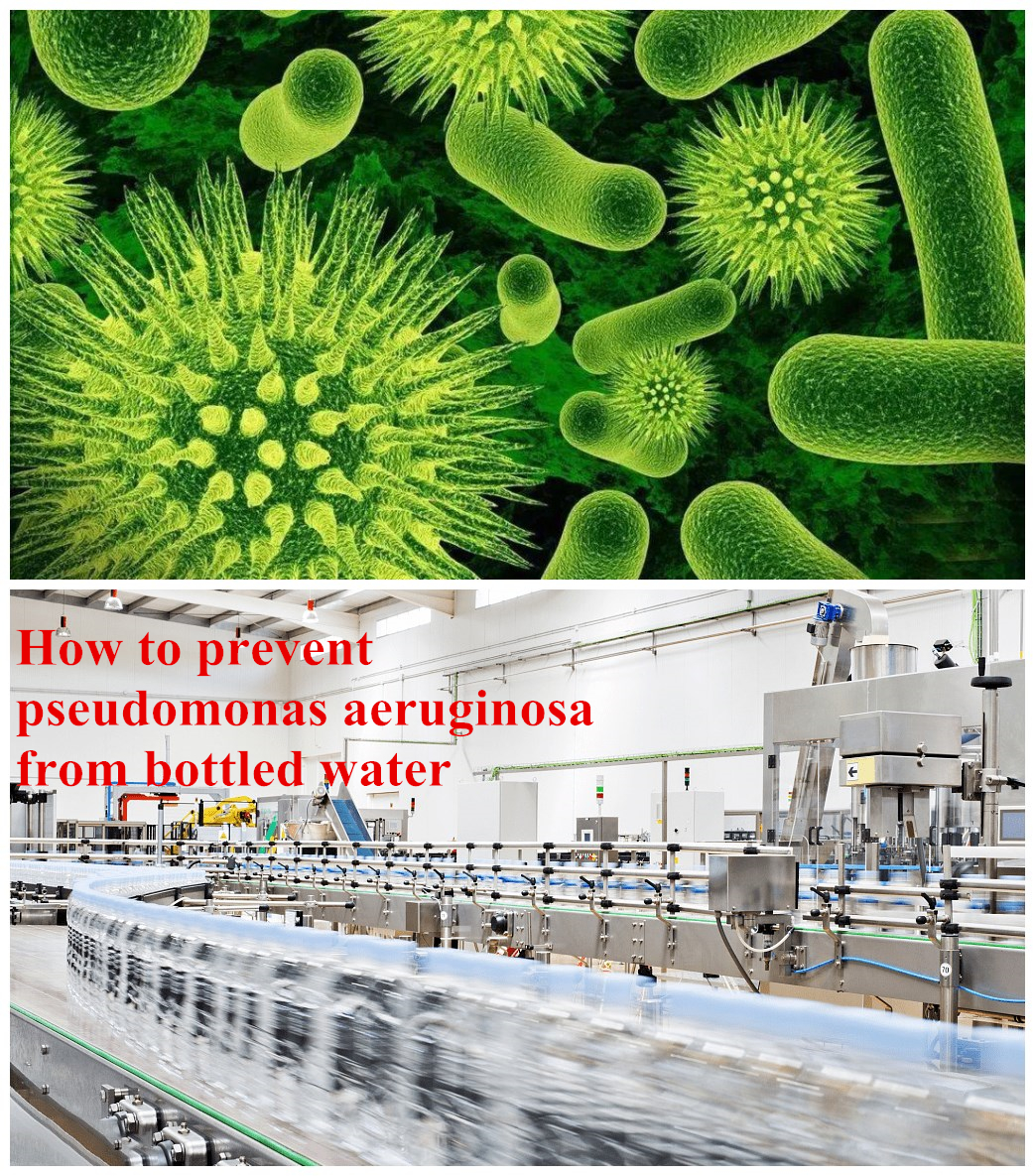 How to prevent the production of Pseudomonas aeruginosa in bottled water